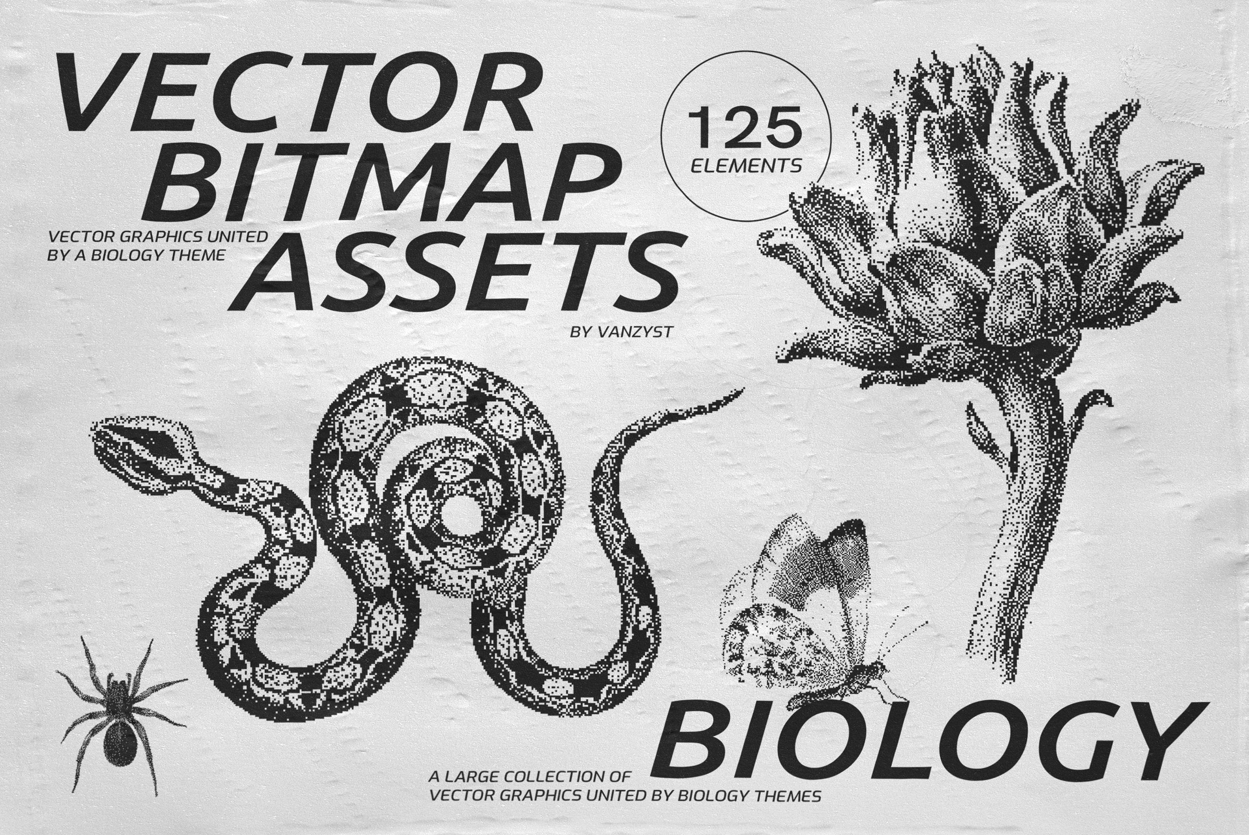 125 Vector Bitmap Assets. Biology